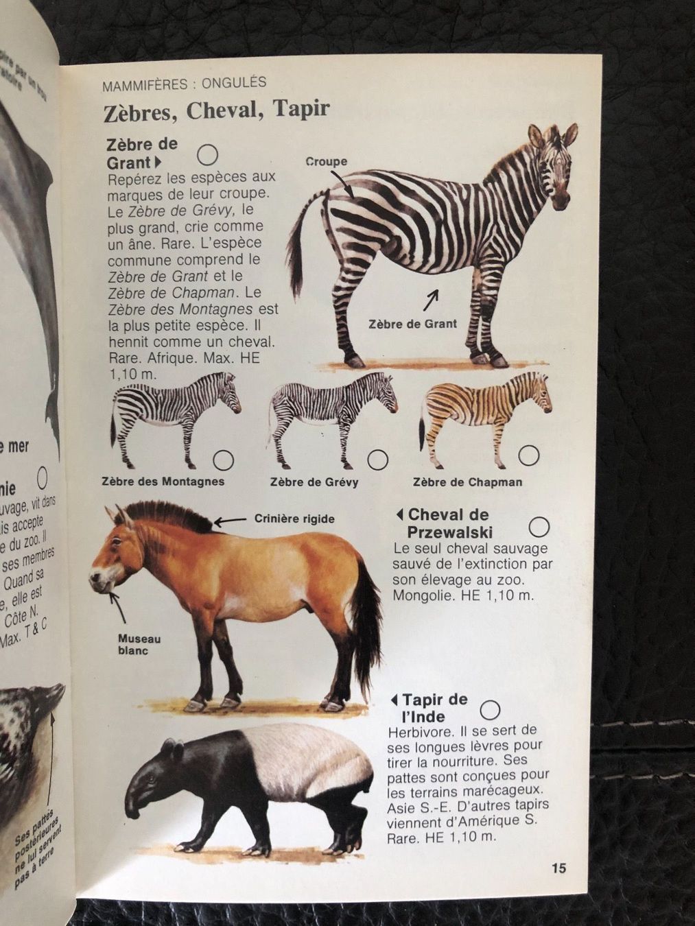 Bücher: Lot 5 guides nature Hachette 1979/1981 – Gebraucht aus Petit-Lancy von Hastala42 5