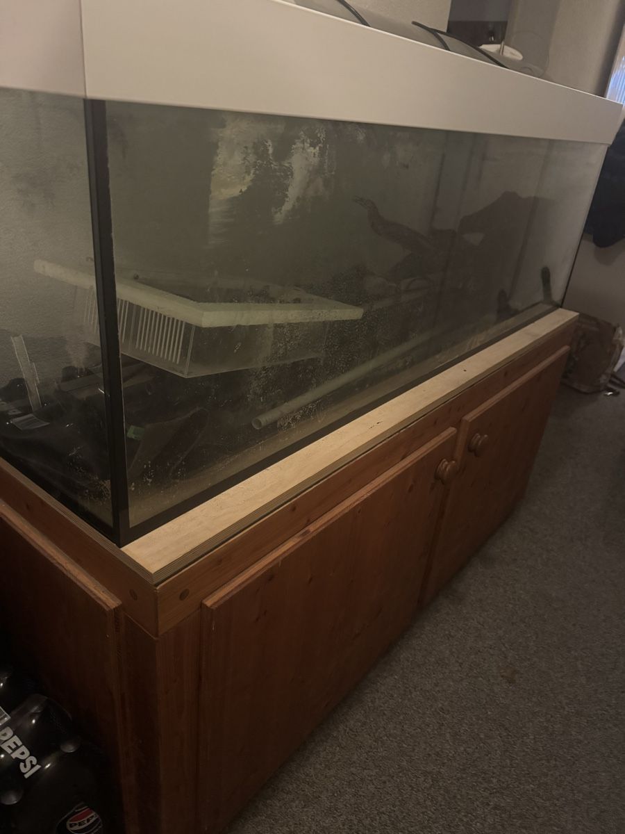 Aquarium: Aquarium – Gebraucht aus Eglisau von jan_mm28 1