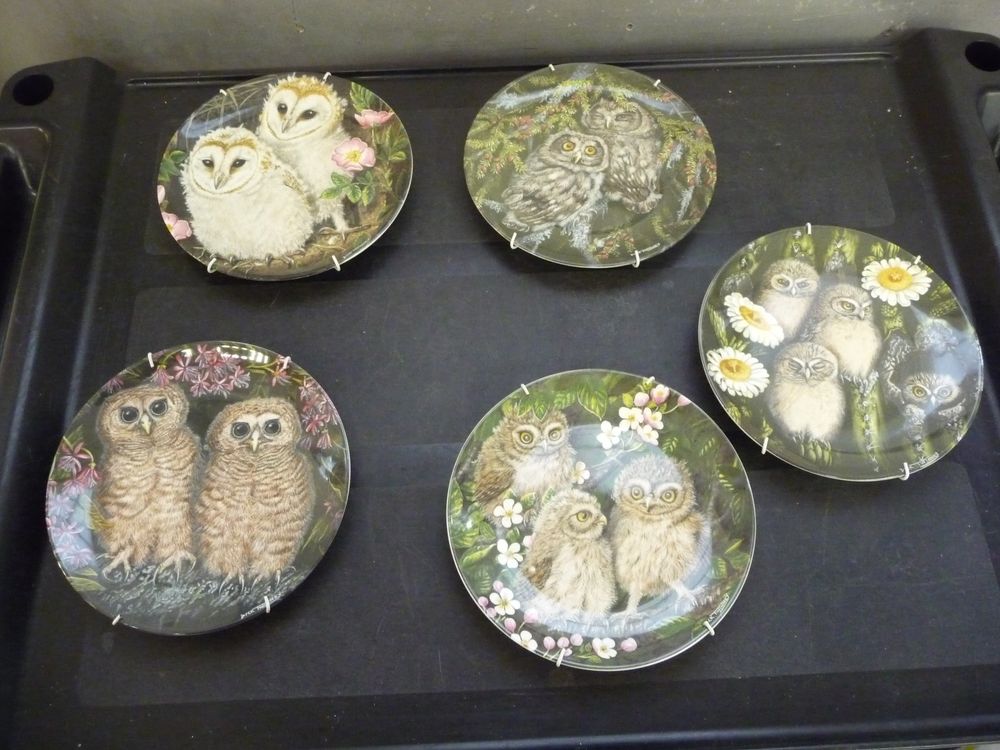 5 Teller Eulen WedgwoodTwinney The Baby Owls (Gebraucht) in Rafz