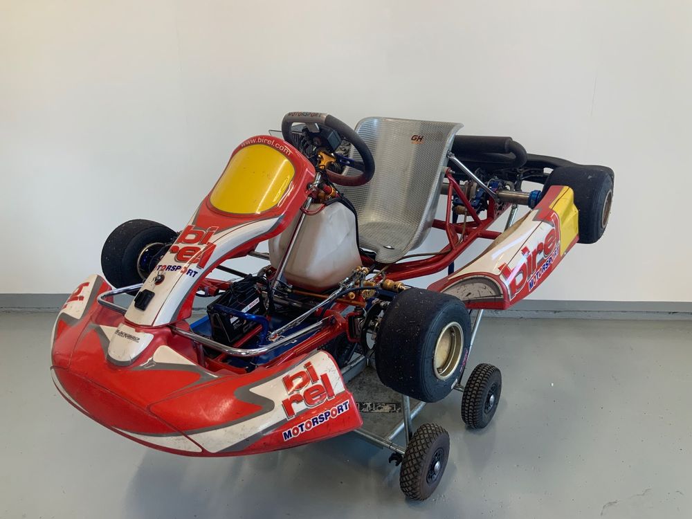 Birel Rotax Kart 125 ccm 1