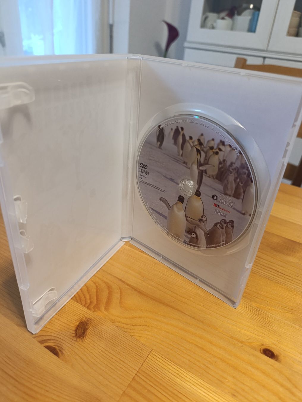 Tutti i DVDs: Le paradoxe des empereurs DVD – Usato da Prangins venduto da Timband 2