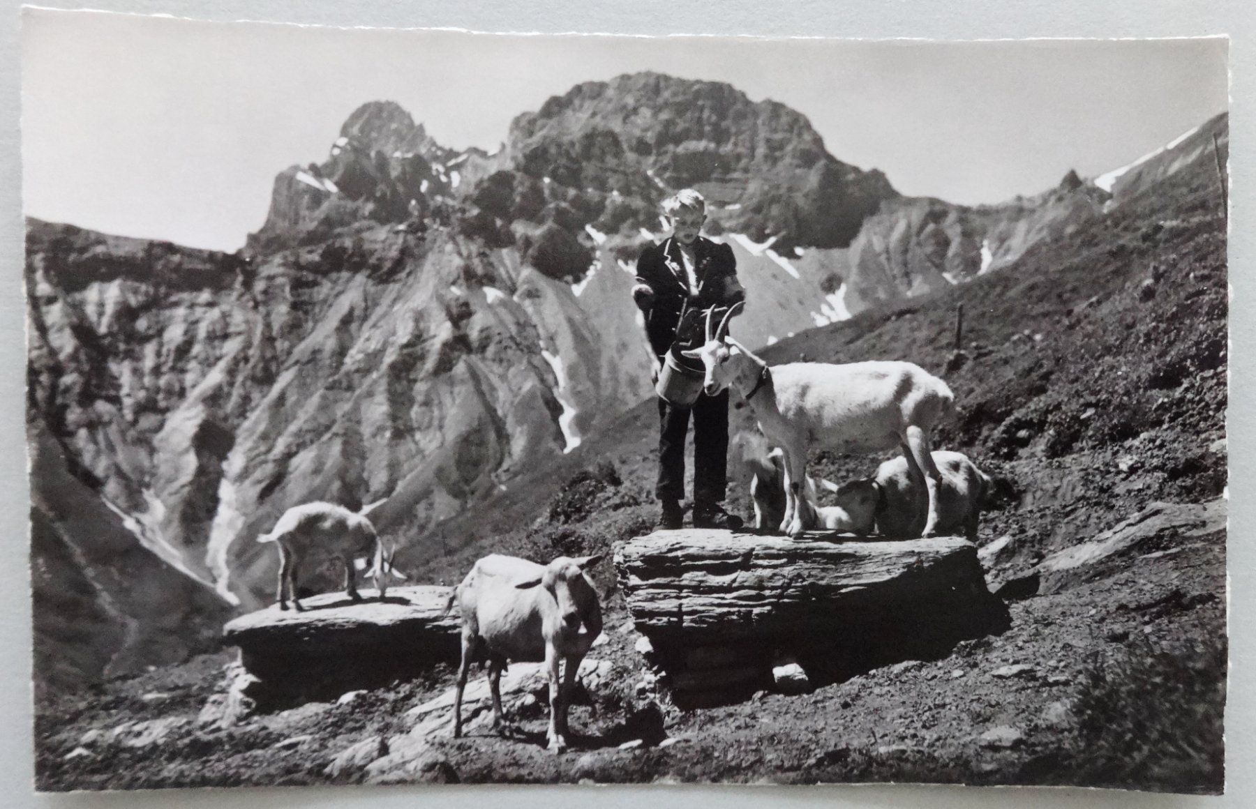 Cartes postales: Der Ziegenhirt – D'occasion à Fétigny par Billy2miny