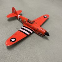Robbe Nano Racer Curtiss P-40 – Schneller Mini-Warbird
