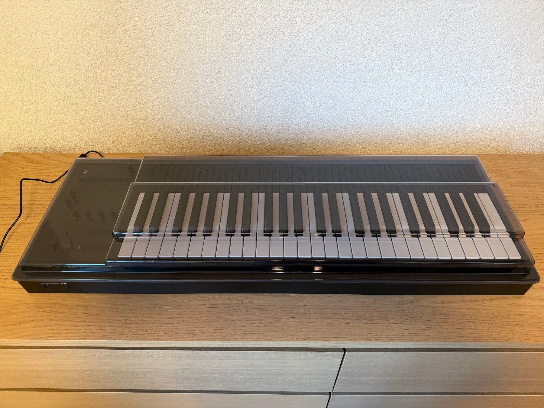 Strumenti musicali: Expressive E Osmose inkl. Softbag und Decksaver Cover – Usato da Langwiesen venduto da skitchy 2