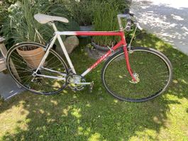 Vintage Rennvelo - Ideal für den Sommer! ☀️🚴‍♀️ Rahmen 54cm