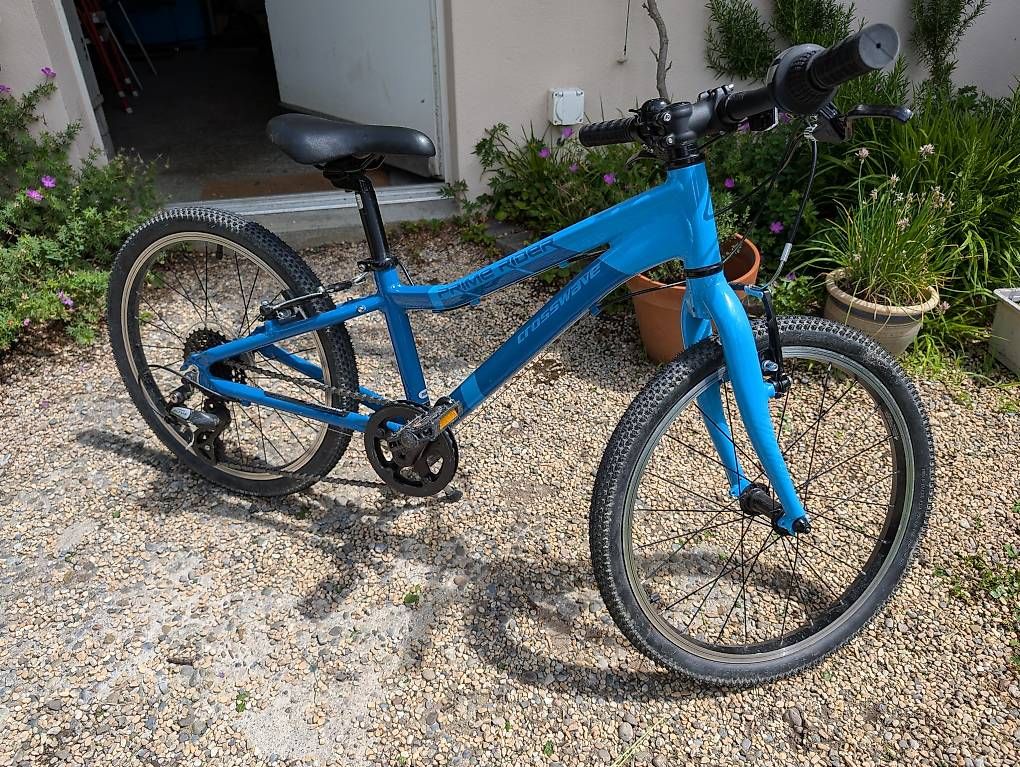 Biciclette: Kindervelo Prime Rider 20 Zoll – Usato da Zürich venduto da McFlurry49