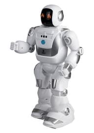 Giocattoli: Silverlit Roboter, YCO Neo – Usato da Zürich venduto da Trei05 3