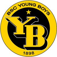 Yb-Basel 2 Tickets im C  (Stadion Mitte) perfekte sicht