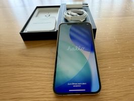 iPhone 12 Pro Gold 256 GB mit Zubehör guter Zustand