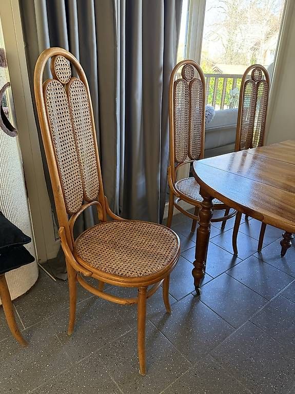 Sedie: Chaises Thonet anciennes – Usato da Genolier venduto da Aia