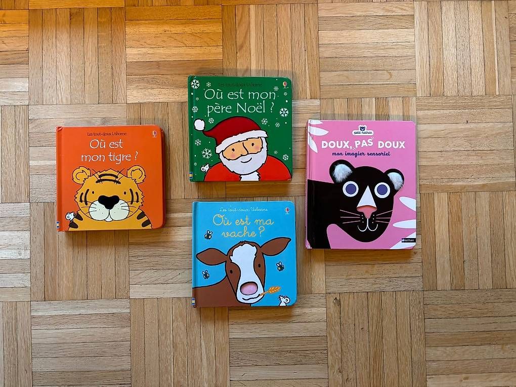 Libri: Livres bébé 12mois – Usato da Onex venduto da morelan