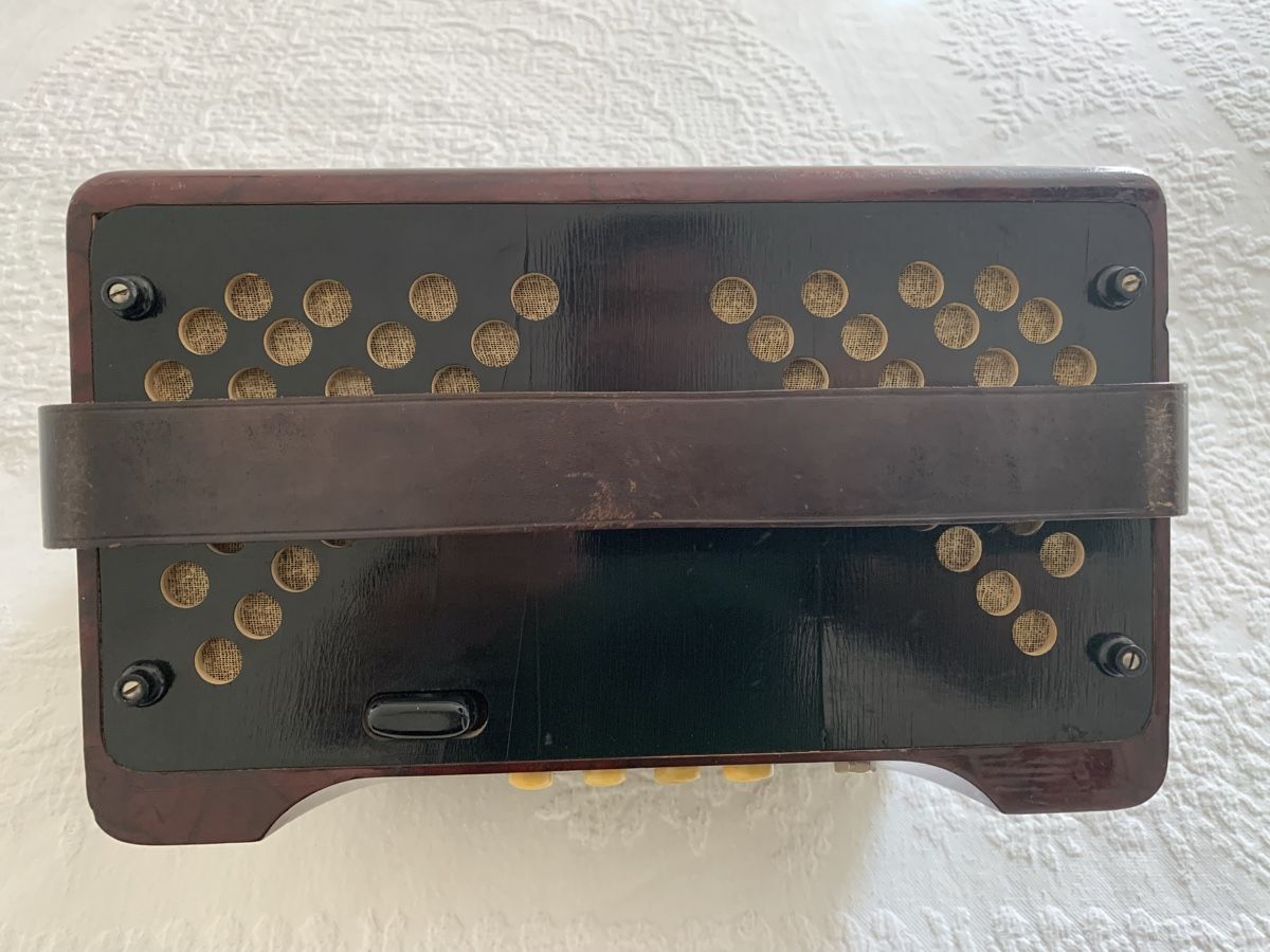 Hohner Strumenti musicali: Diatonische Handorgel / Concertina en Sol – Usato da Zürich venduto da Olimpied 7