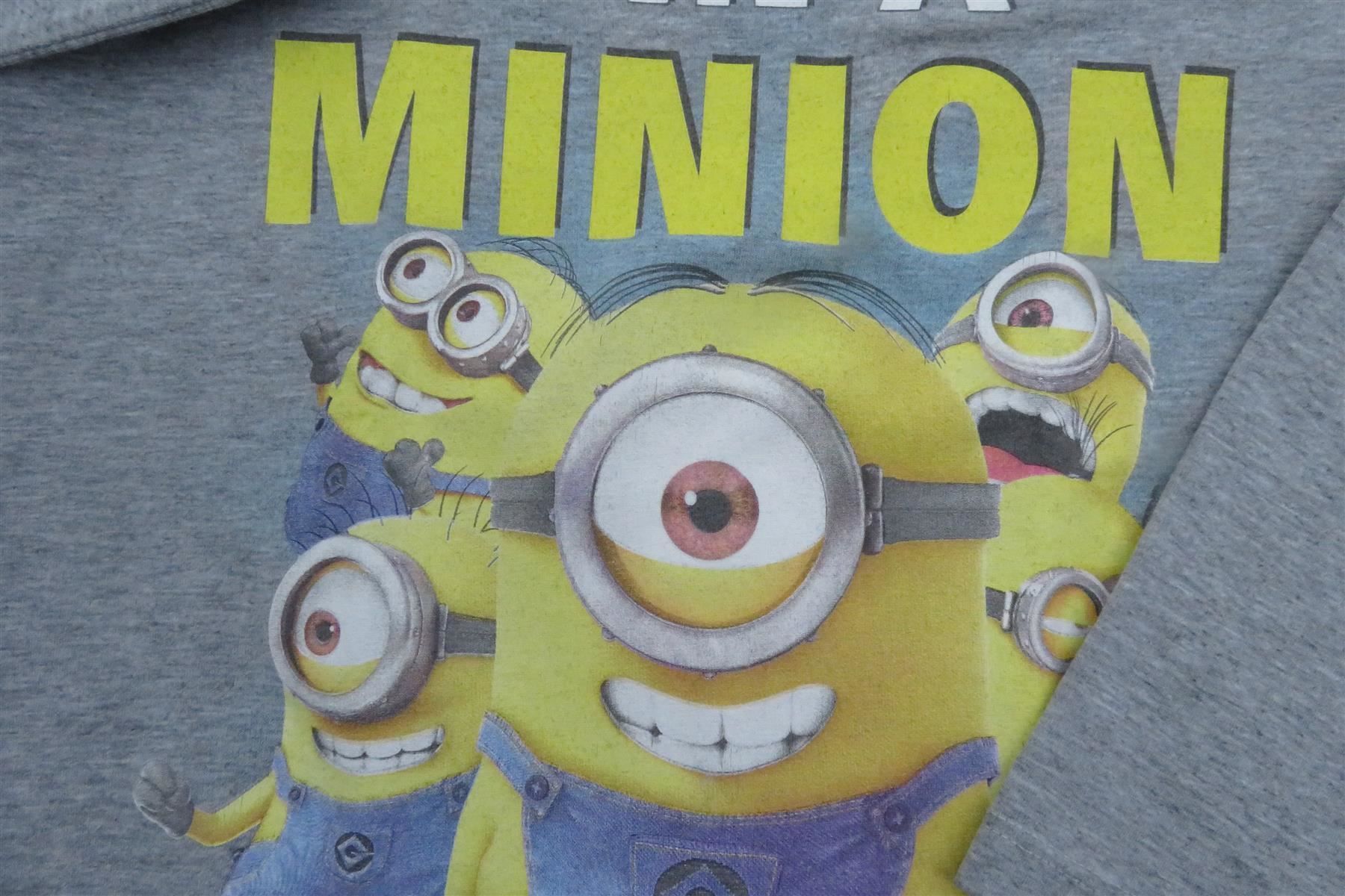 Camicie, T-shirt & Polo: T'Shirt MINIONS Grösse 122 – Usato da Wil ZH venduto da Tamagy 1