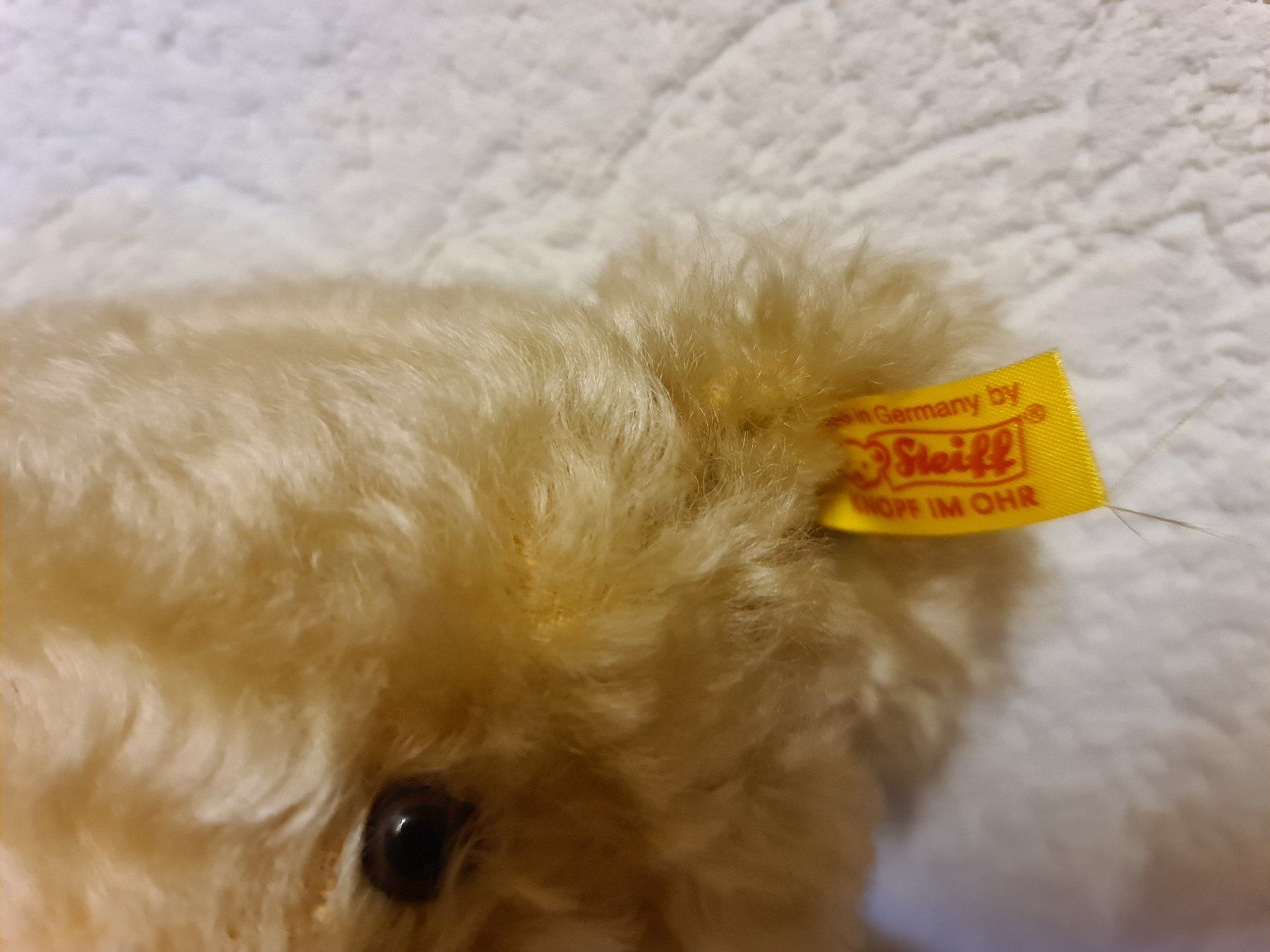 Steiff Giocattoli: Alter Steiffteddy Bär – Usato da Ibach venduto da Hfedier 2