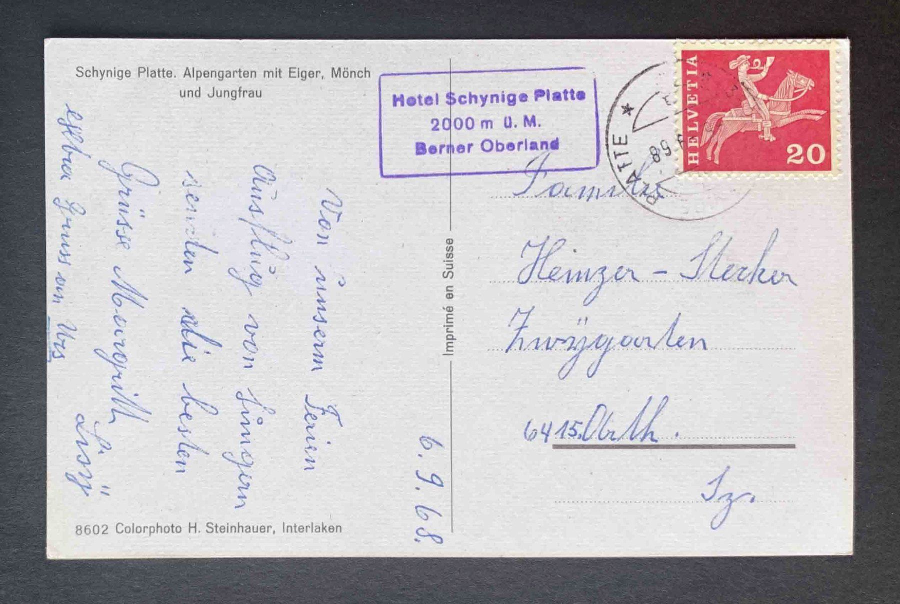 Cartoline postali: AK Schynige Platte Alpengarten Eiger Mönch Jungfrau – Usato da Goldau venduto da artelier1 1
