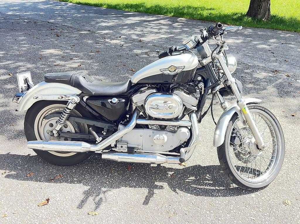 Chopper: Harley Davidson Sportster 883 del centenario – Usato da S. Bernardino venduto da aathos1973