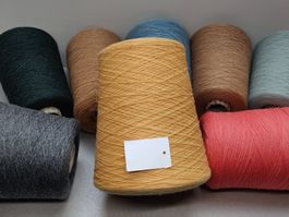 Top Kaschmir 100% 2/28 von Cariaggi 440g albicocca