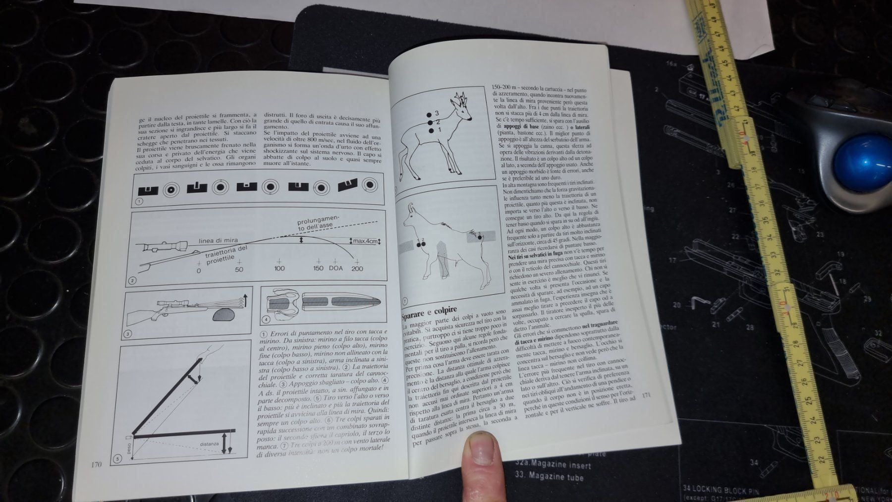Bücher: BUCH.FAUNA E CACCIA SULLE ALPI – Gebraucht aus Cama von anto_a 9