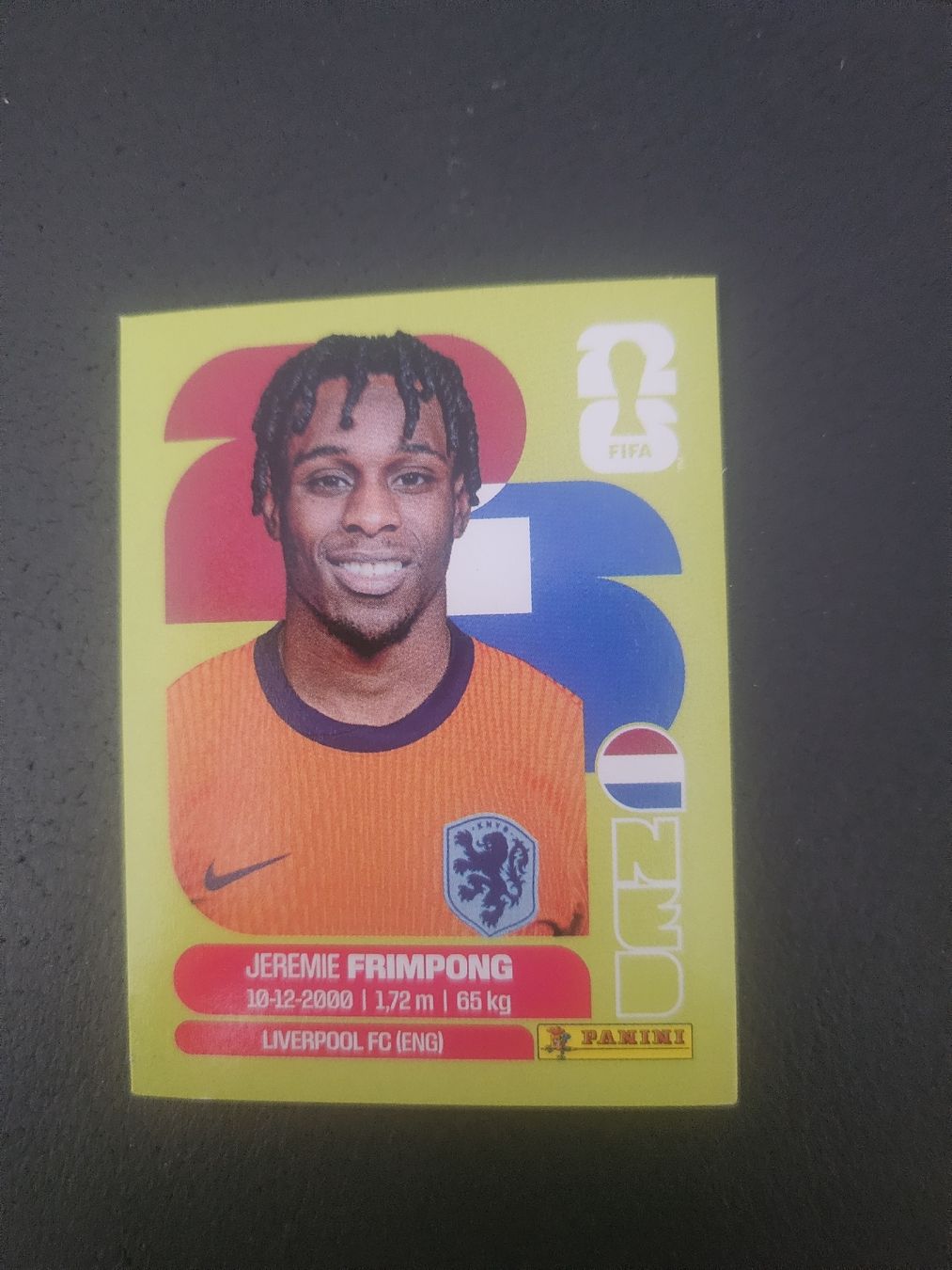 Panini Cartes à collectionner: panini NED 8 – Neuf (Voir description) à Croy par sylvie1350