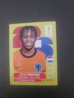 panini NED 8