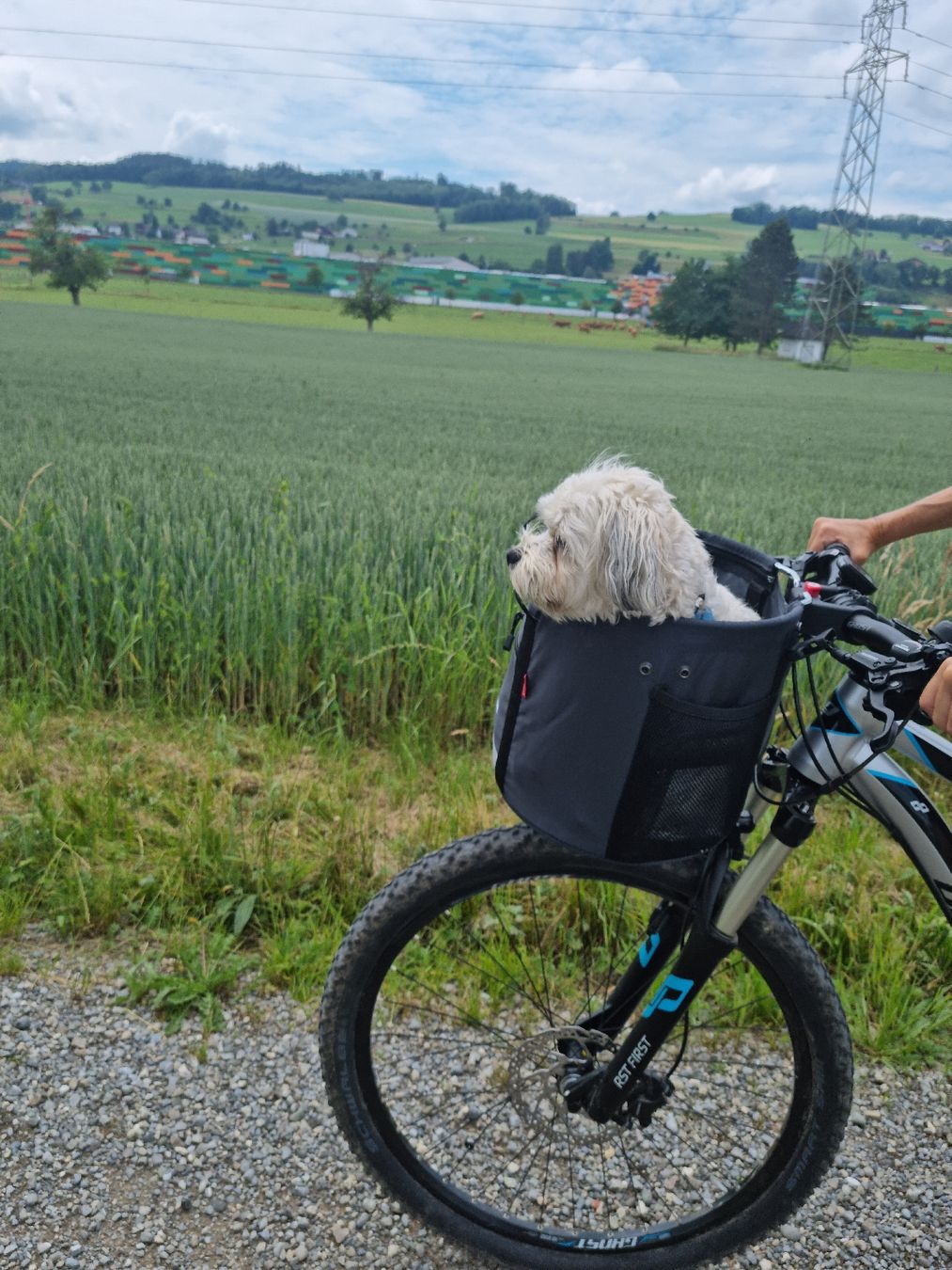 Ghost Velos: Mountenbike Ghost – Gebraucht aus Oberrohrdorf von Jsandmeier 6