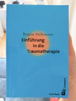 Buch Einführung in die Traumatherapie Brigitte Hüllemann
