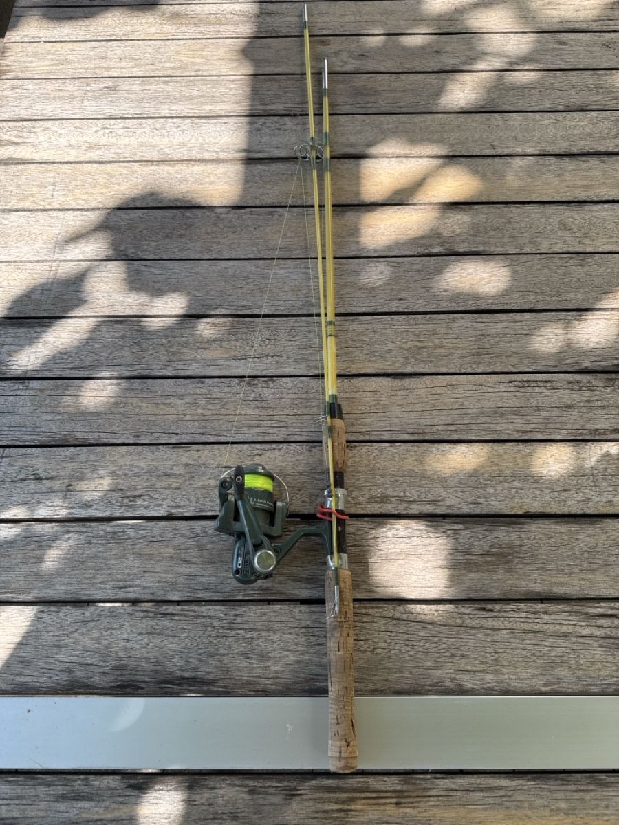 Canne da pesca: Angelrute mit Mitchell VX20 Rolle – Usato da Nussbaumen TG venduto da boltsi_87