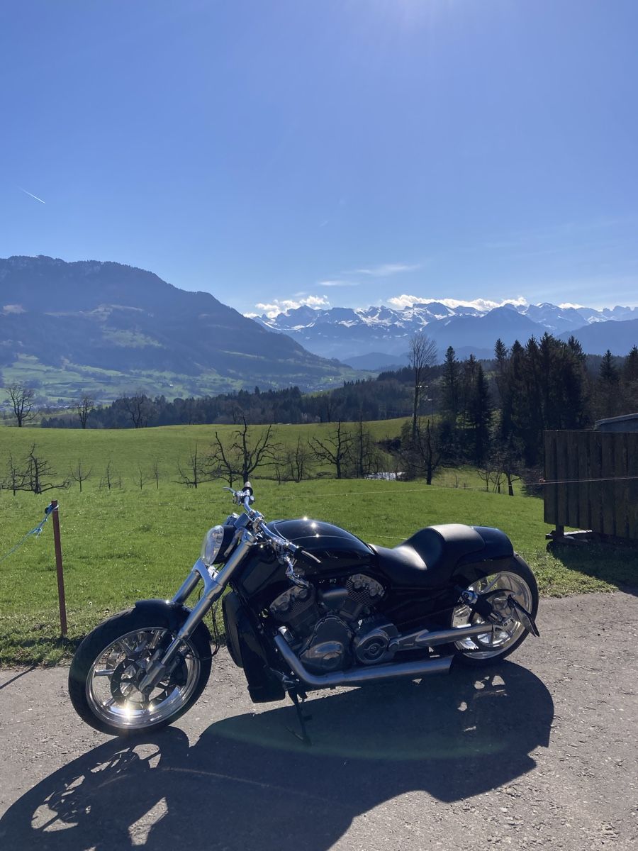 Harley-Davidson Chopper: Harley Davidson V-Rod Muscle – Usato da Steinen venduto da peter_a_b