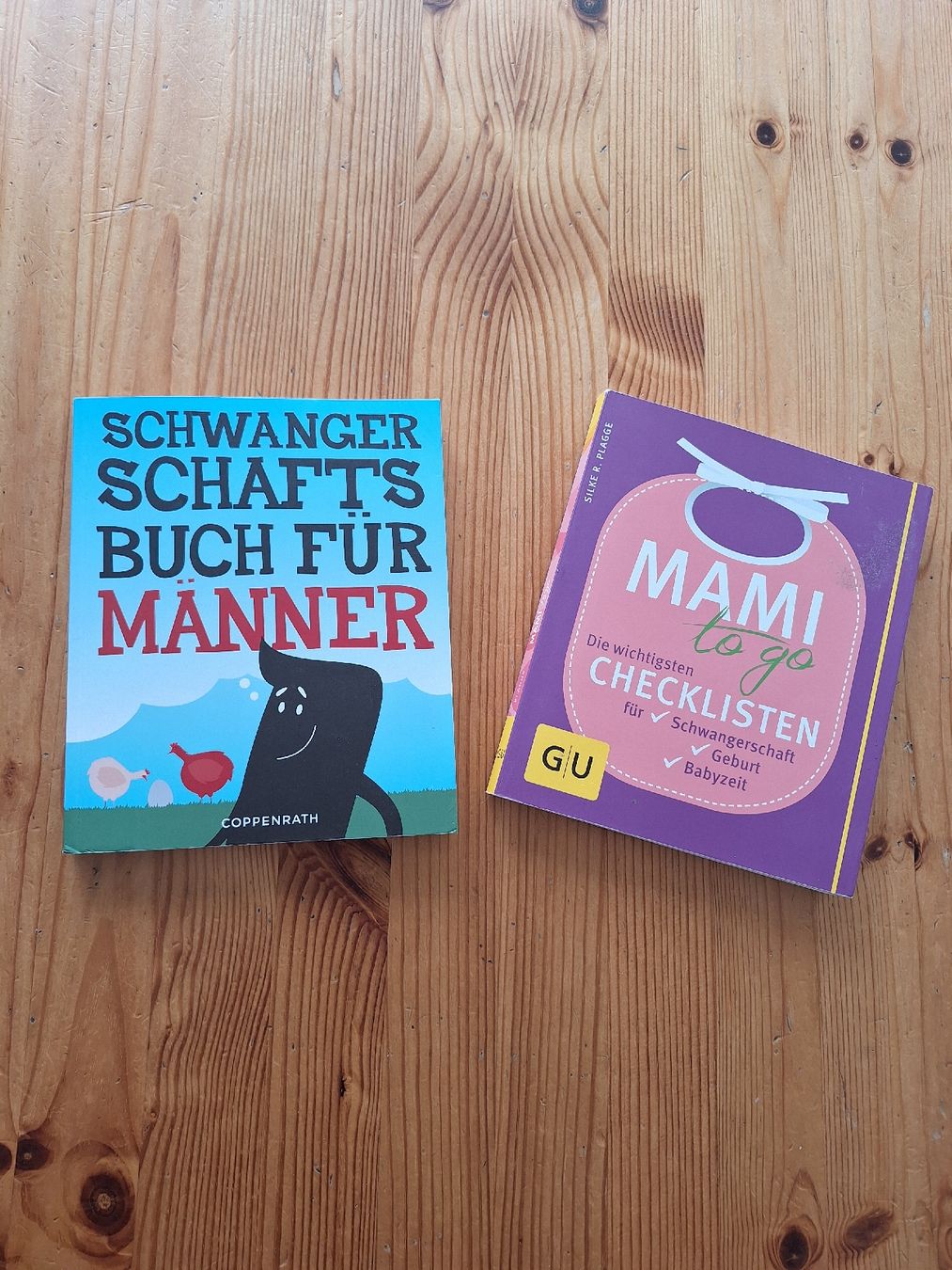 Libri: 2 Schwangerschaftsbücher – Usato da Aesch BL venduto da ChezToKa