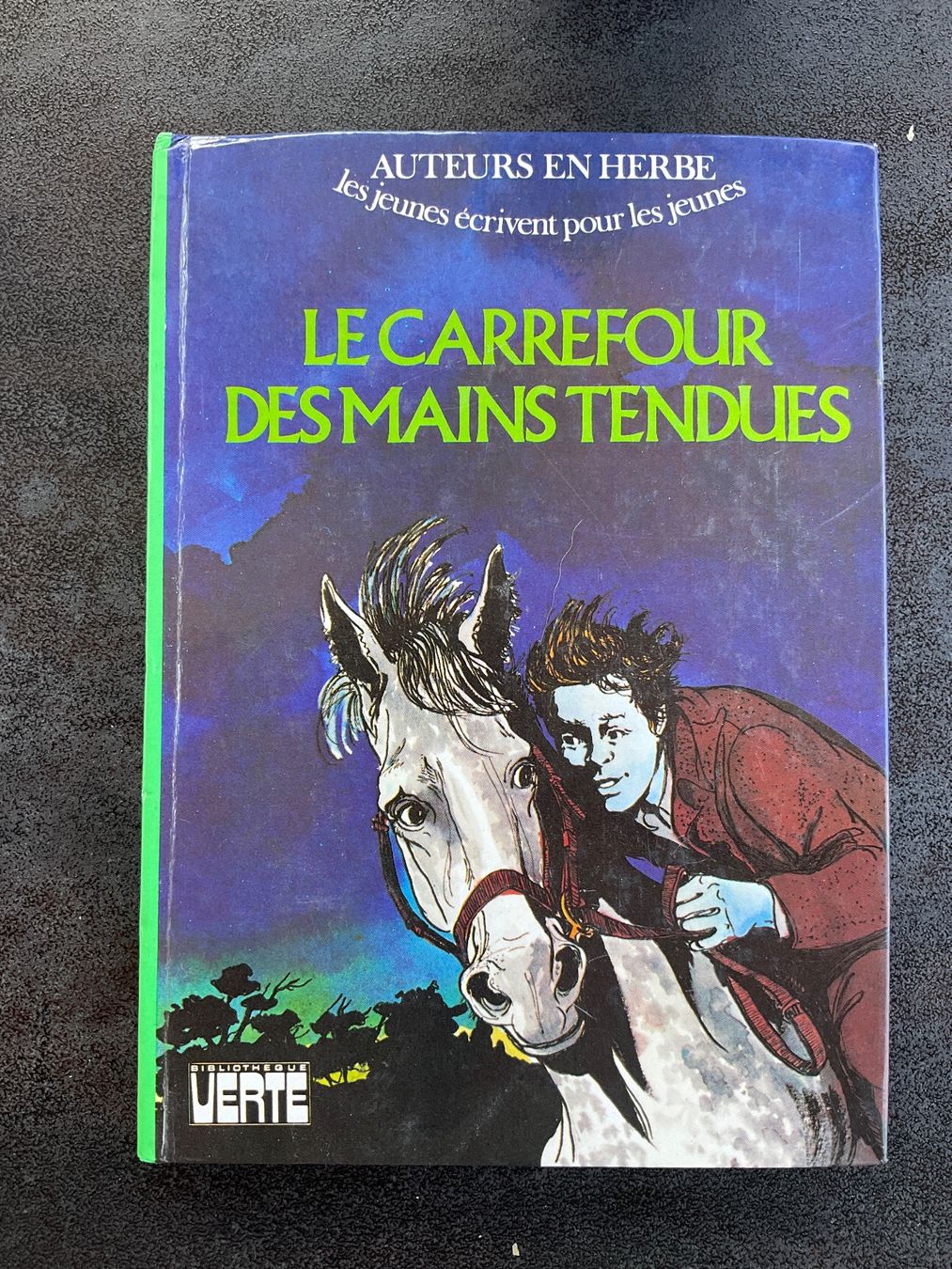 Libri: Livre "Le Carrefour des Mains Tendues" par Patrick Seys – Usato da Avenches venduto da Lactobacille