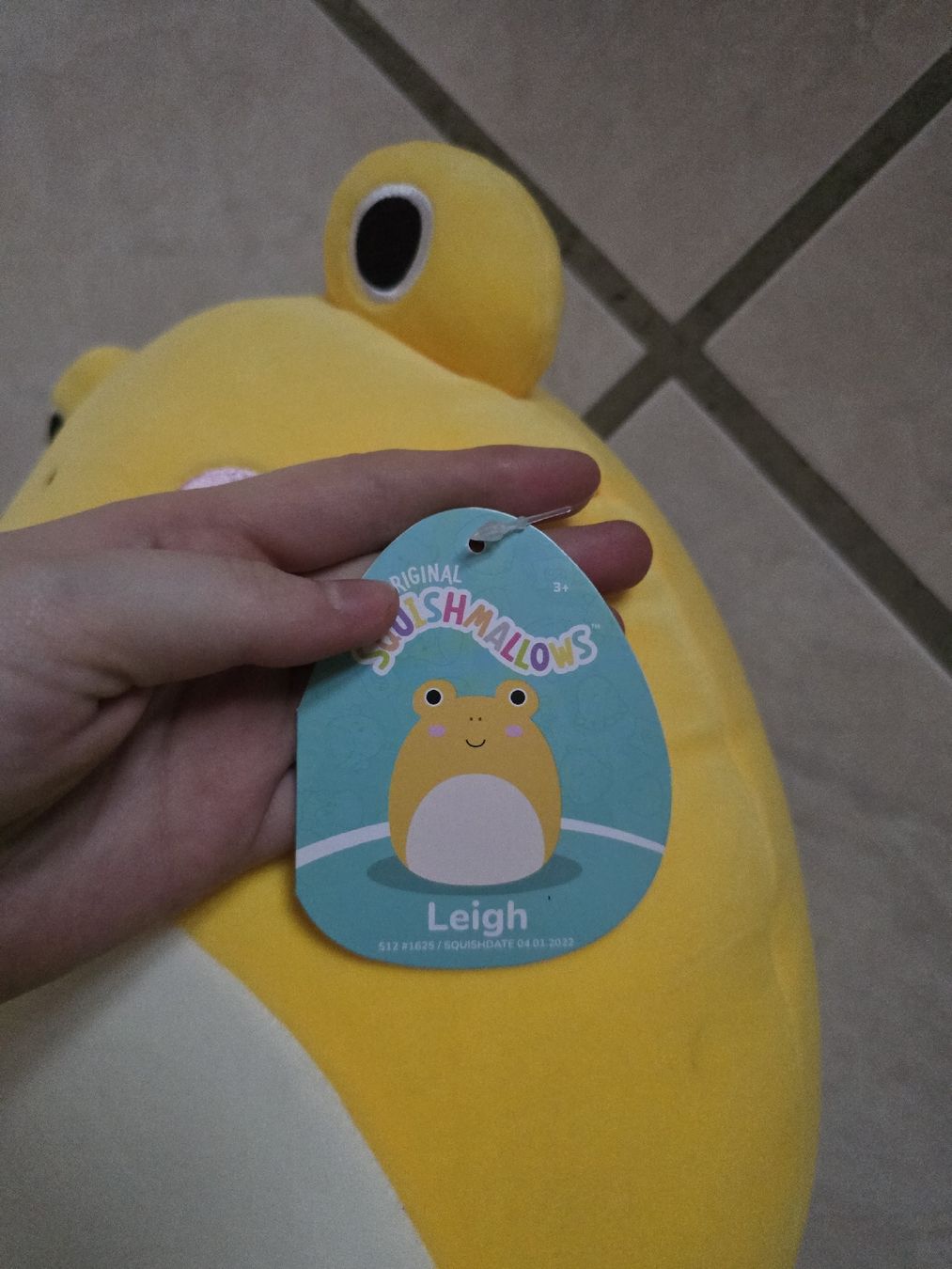 Figuren: Squishmallow Frosch Leigh – Gebraucht aus Büsserach von sobis.trade 1