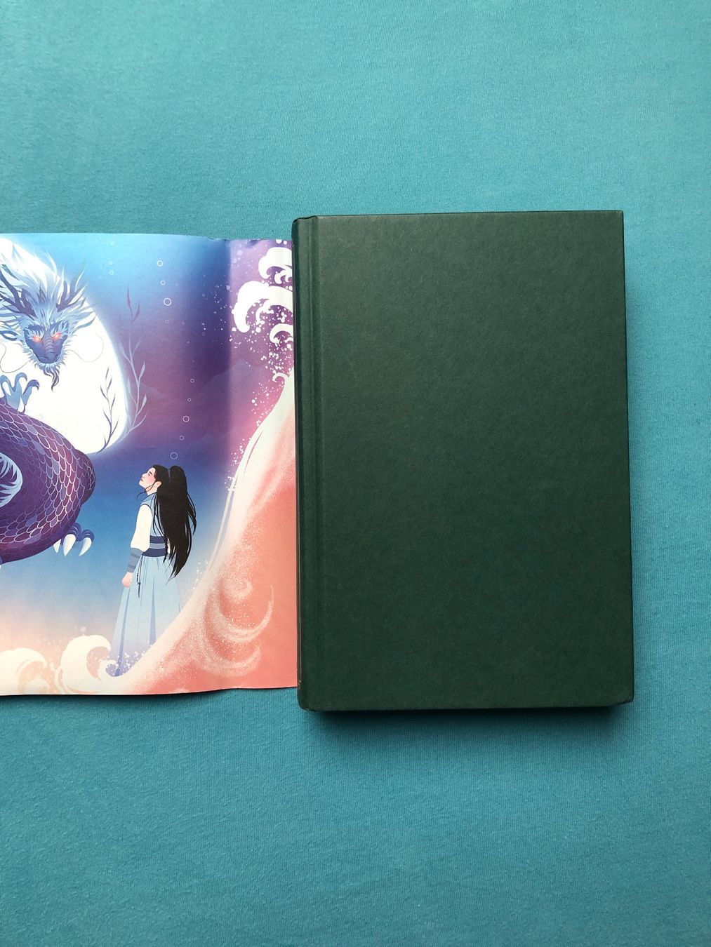 Libri: 2 Fantasy Books - ENG – Nuovo (secondo la descrizione) da Corcelles-près-Payerne venduto da CyndelleMaiwen 5