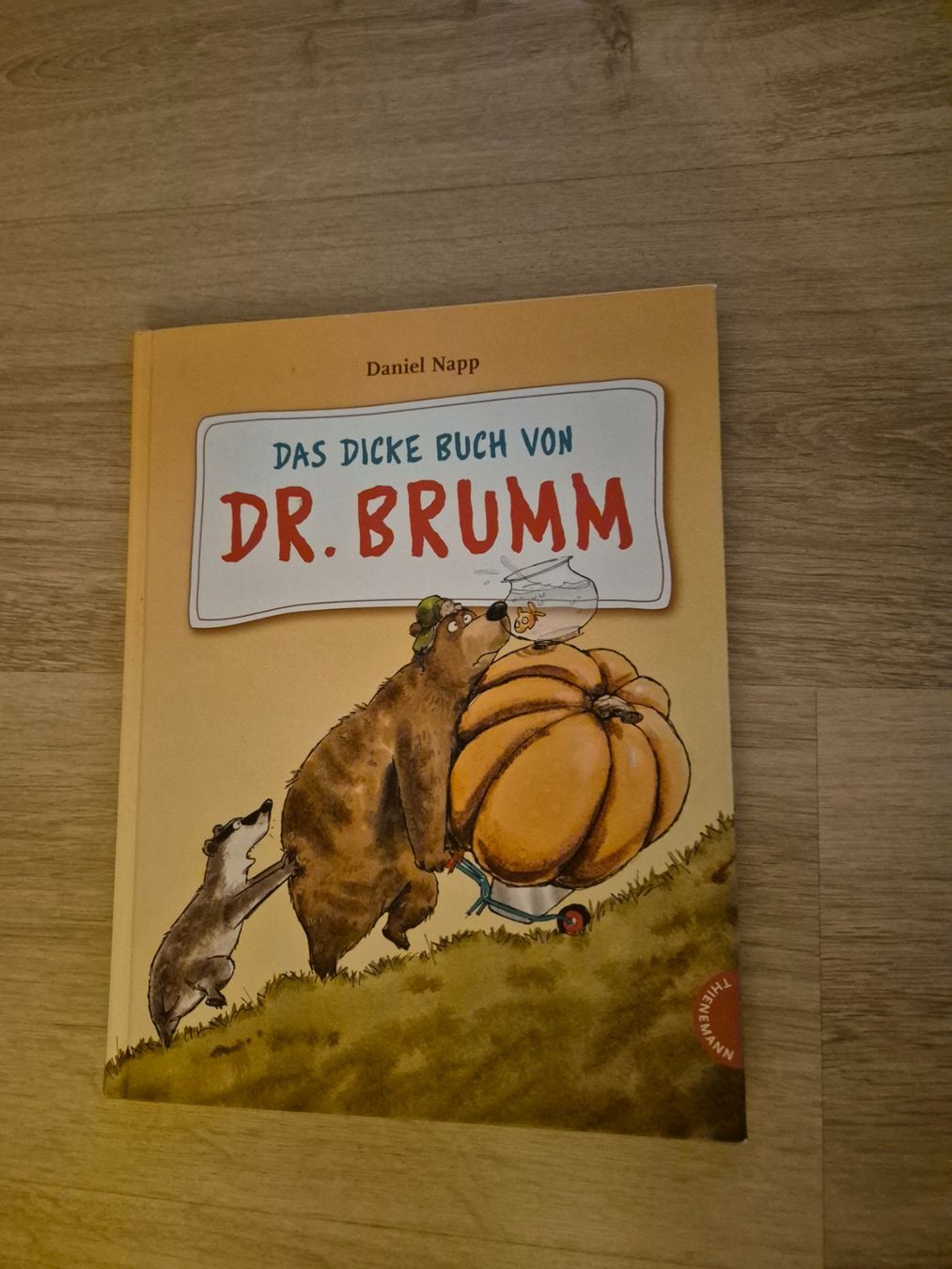 Bücher: Das dicke Buch von Dr. Brumm Kinderbuch gebraucht – Gebraucht aus Luzern von Balzli22