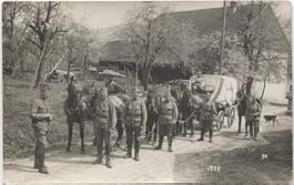 Landwirtschaft/Fuhrwerk 1920 BE/AG ? Militär mit Pferd