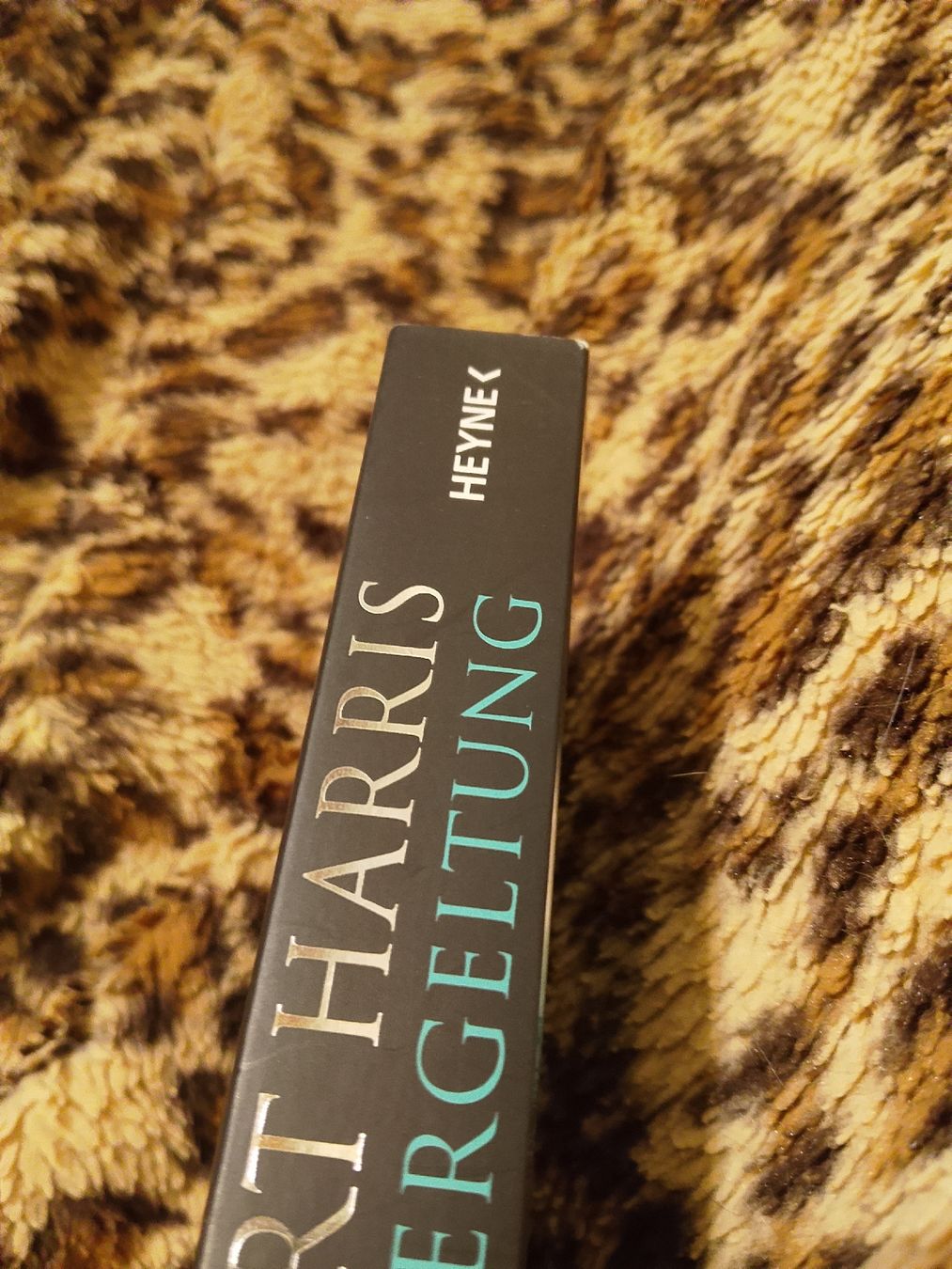 Livres: Vergeltung  – Neuf (Voir description) à Volken par katz5 1