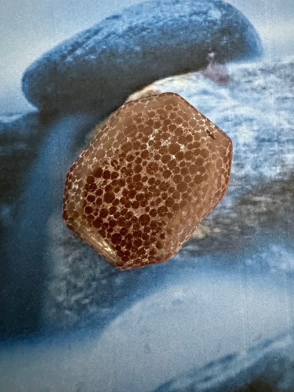 Mineralien & Heilsteine: Kalkoolith – Neu (gemäss Beschreibung) aus Biberist von Steine 1