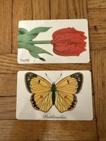 Telefonkarte Deutschland (DM) / Posthörnchen und Tulpe