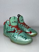 Nike LeBron James Sneakers – Special Edition