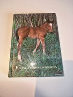 Buch kleine Pferdegeschichten