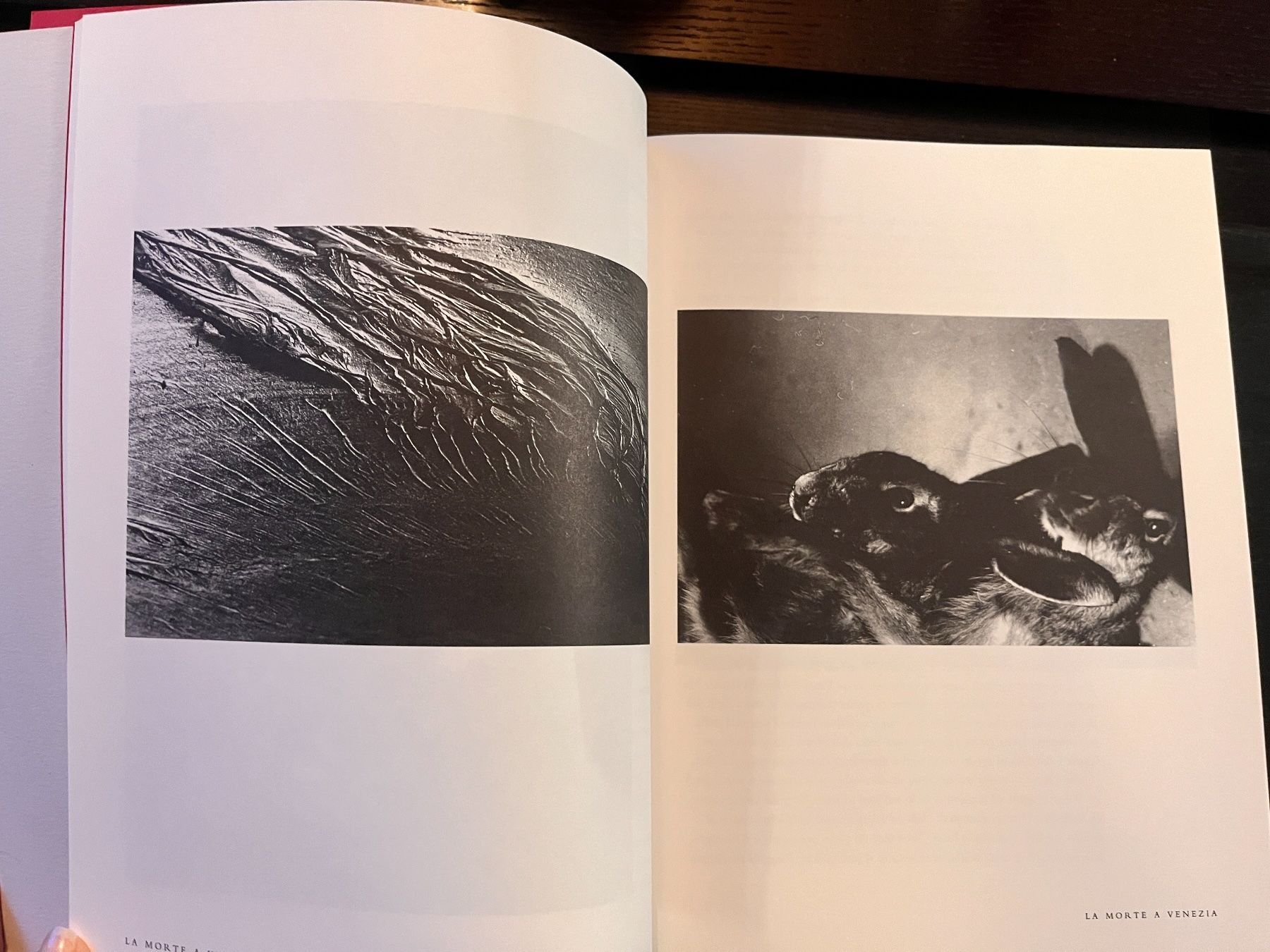 Libri: John Olsen - Danimarca – Usato da Lausanne venduto da Kinga_Shopaholic 5