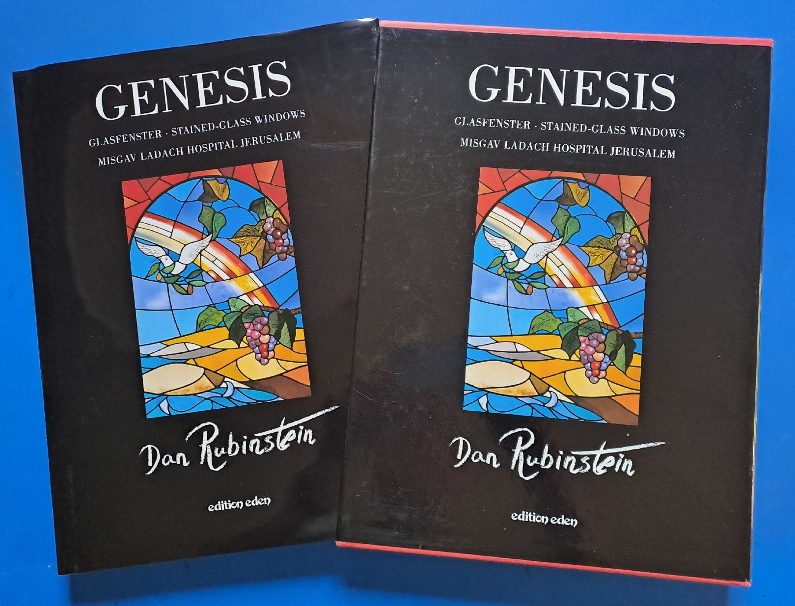 Libri: Dan Rubinstein: GENESIS. Glasierter in Jerusalem EA 1996 – Usato da Zürich venduto da archiphil
