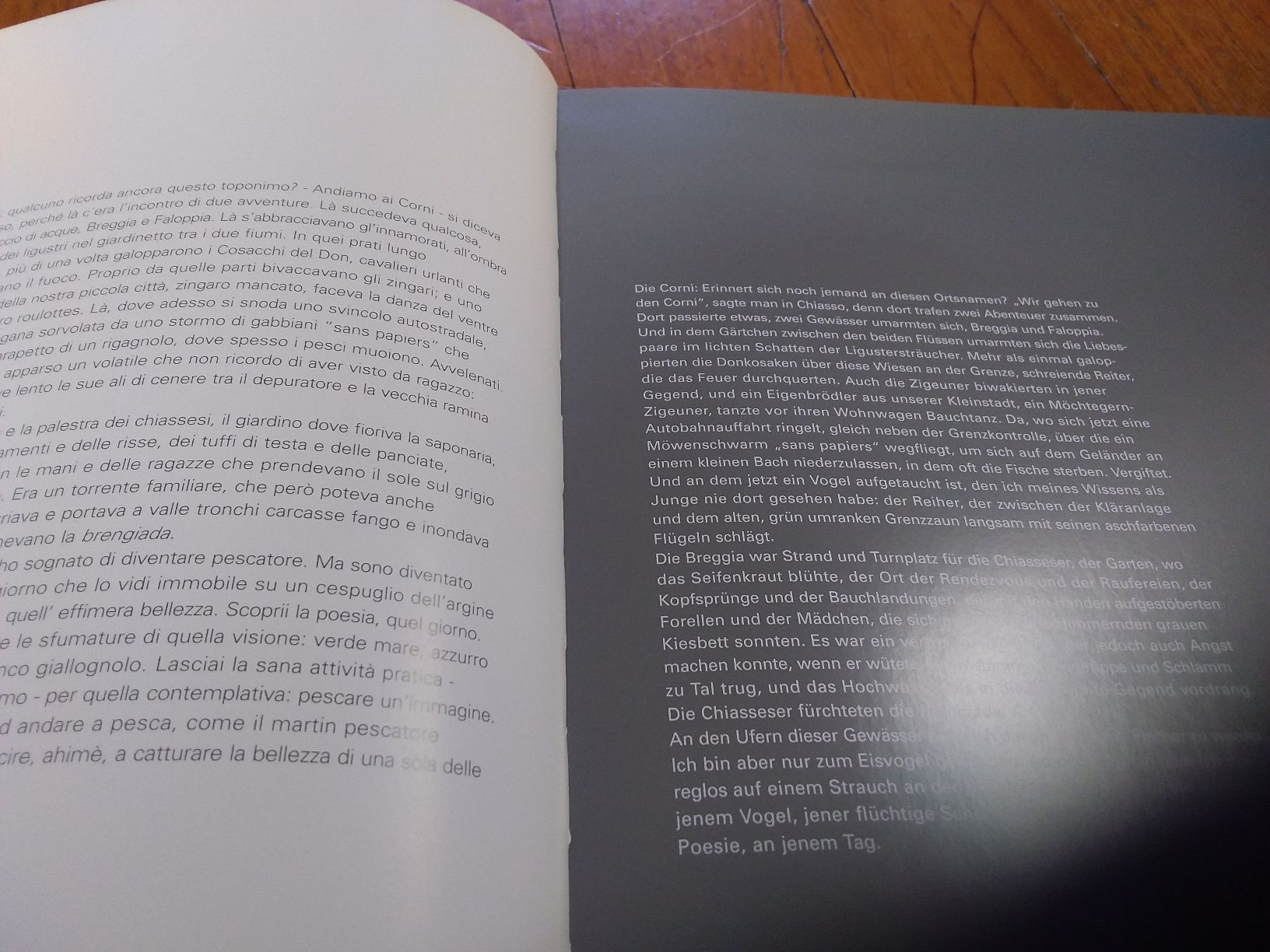 Libri: Ai confini della Breggia- Buch, Libro – Usato da Ligornetto venduto da Gurzo 6