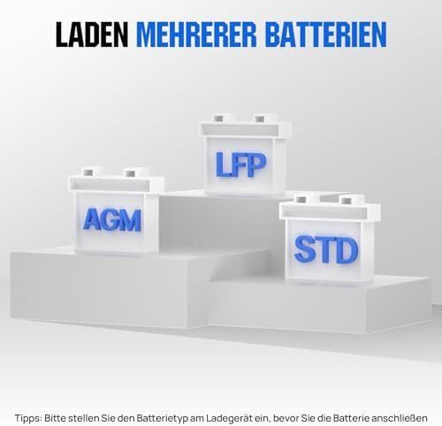 Accus & piles: LiFePO4 Batterieladegerät mit Multi-Current – Neuf avec emballage d'origine à Hundwil par Mr.Wong 2