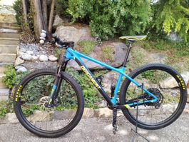 VTT Bergamont Revox Team 2019,  29 pouces -  Taille M