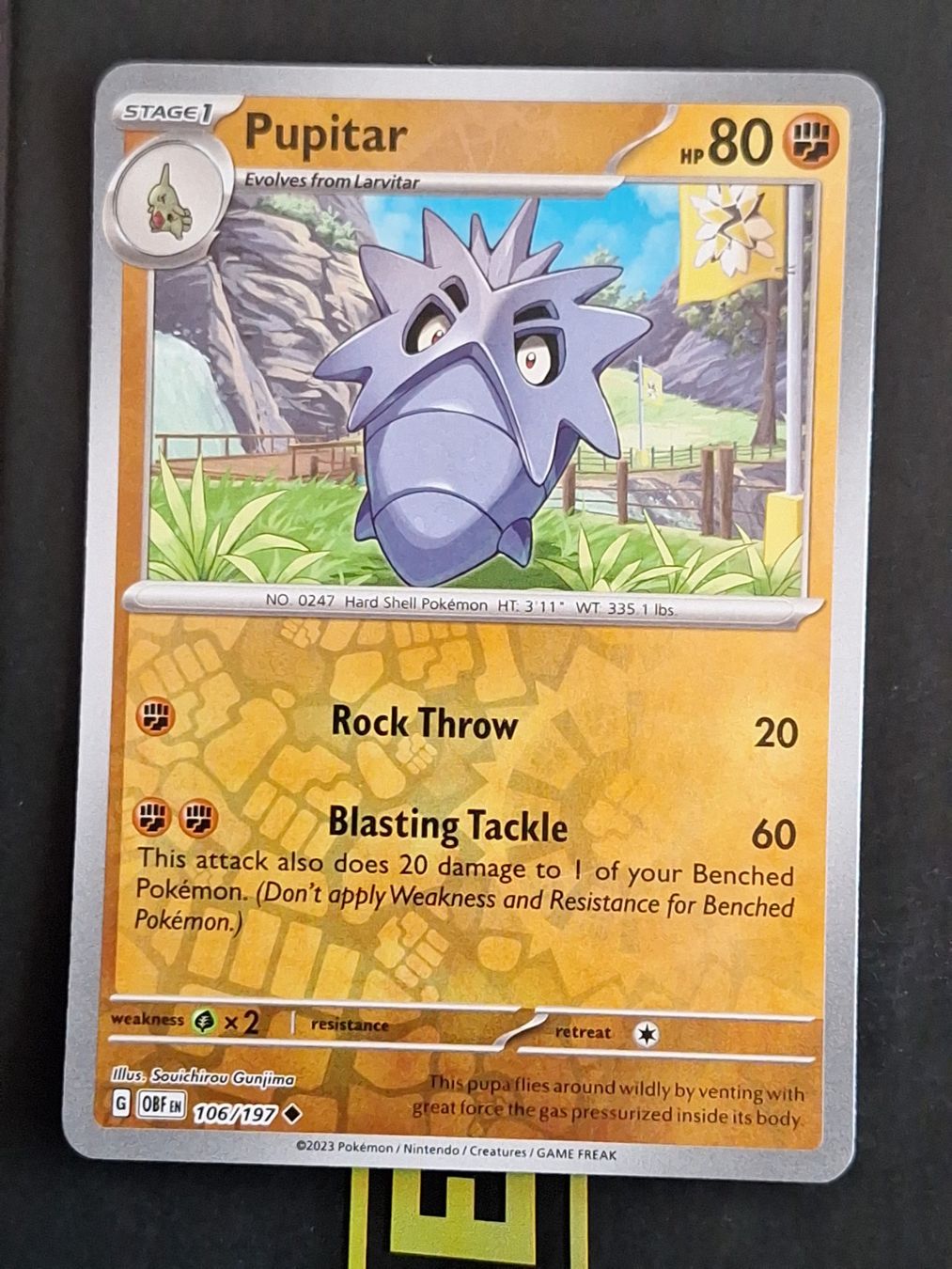 Pokémon Carte collezionabili: Pupitar - Pokemon Reverse Holo Obsidian Flames – Usato da Altstätten SG venduto da GGsGameshop