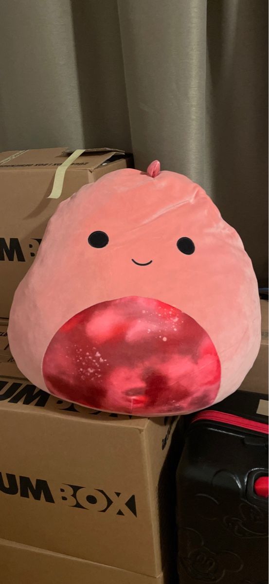 Cuscini: Squishmallow – Nuovo (secondo la descrizione) da Brüttisellen venduto da sar_2h8n
