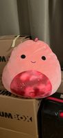 Squishmallow