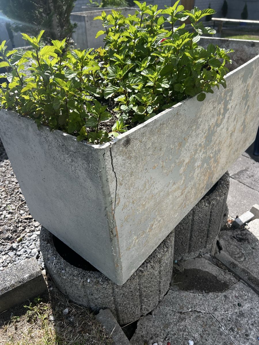 Eternit Pots de fleurs: Eternit Topf 1m – D'occasion à Schönengrund par Oldbutgold93 2