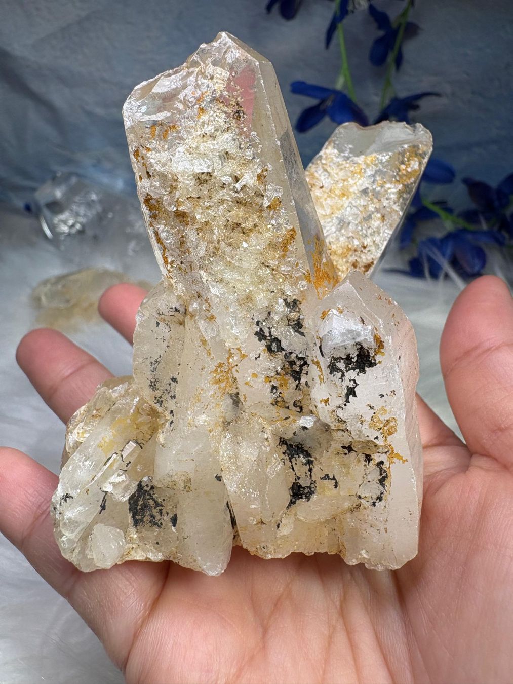 Minerali & Pietre curative: Laotian Clear Quartz mit Record Keeper – Nuovo (secondo la descrizione) da Neuheim venduto da m.hald 1