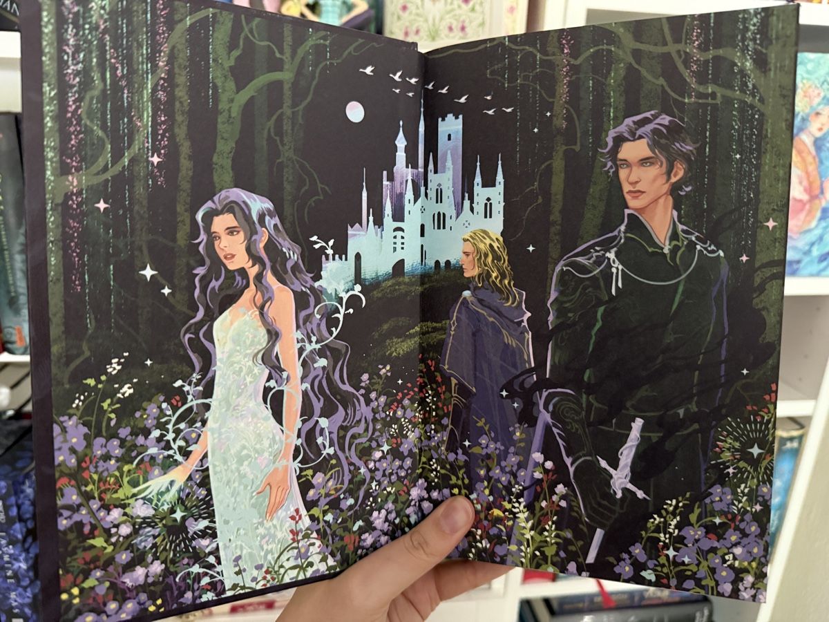 Libri: Fairyloot A feather so black & A crown so silver – Nuovo (secondo la descrizione) da Netstal venduto da Claudia.gl 6